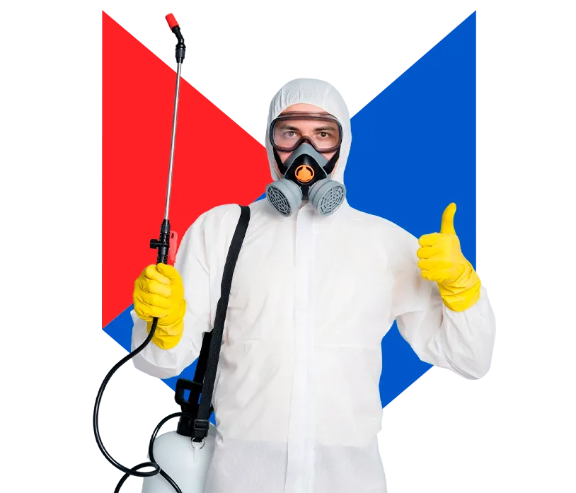 Дезинсектор